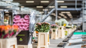 PWA over-ons-960x540